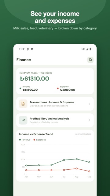 Finance screen: income and expenses