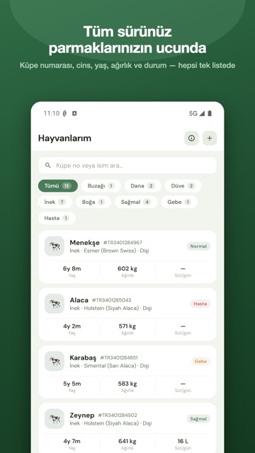 Hayvan listesi ekranı